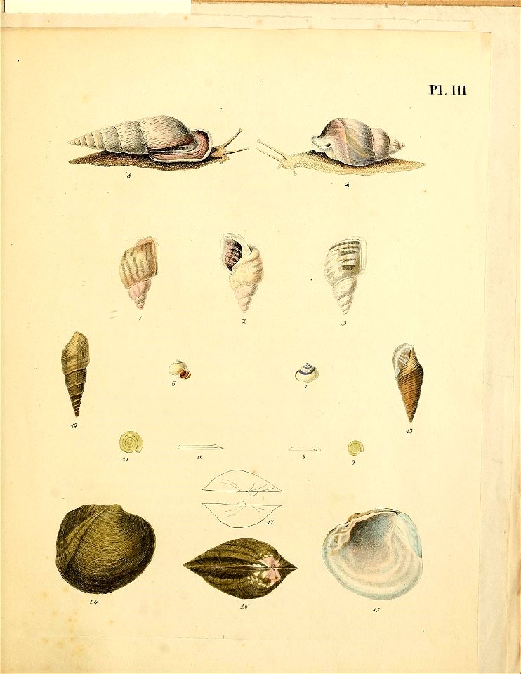n54_w1150
