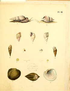 n54_w1150
