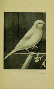 n264_w1150