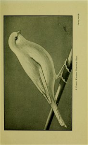 n102_w1150