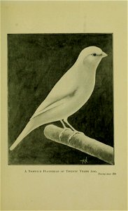 n252_w1150