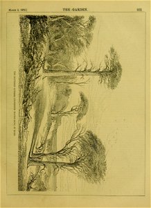 n354_w1150