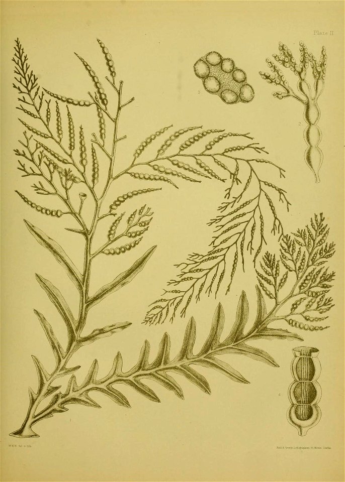 n362_w1150