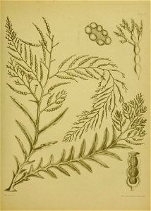 n362_w1150