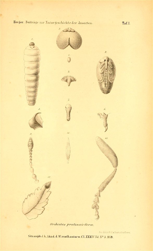 n582_w1150