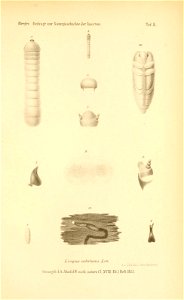 n492_w1150