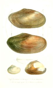 n68_w1150