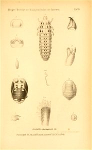 n564_w1150