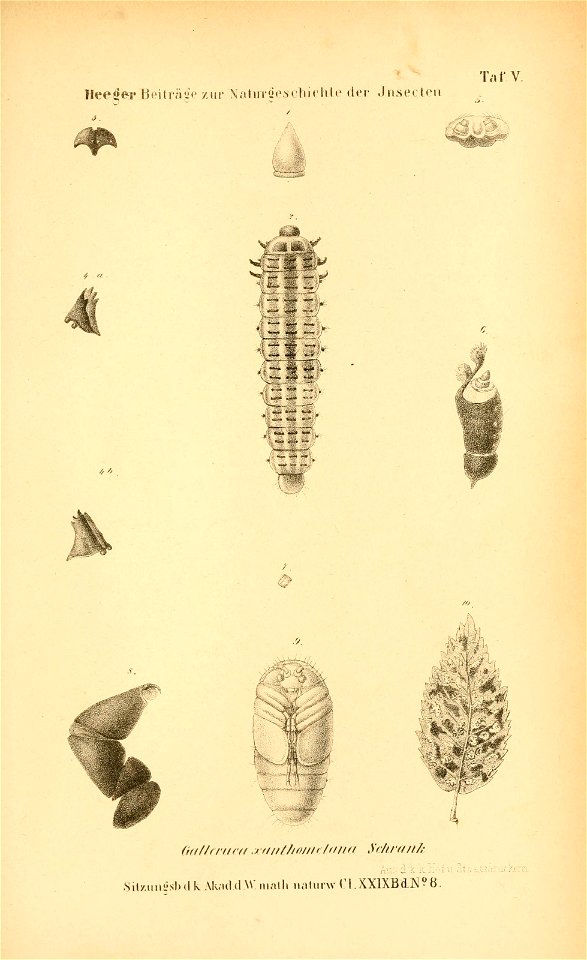 n562_w1150