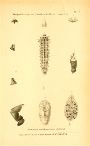 n562_w1150