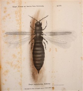 n220_w1150