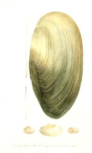 n62_w1150