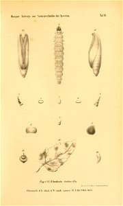 n294_w1150