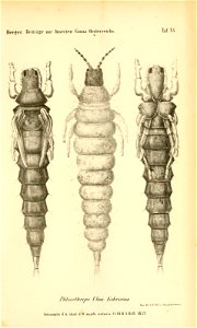 n212_w1150