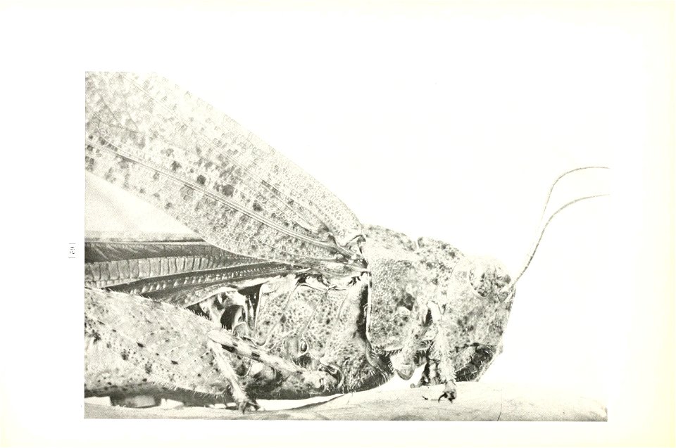n65_w1150