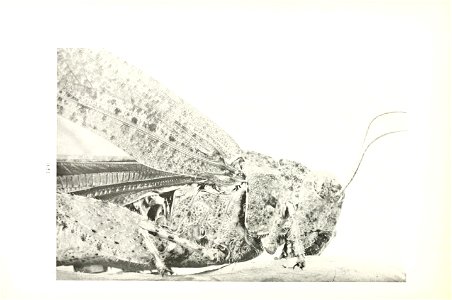 n65_w1150