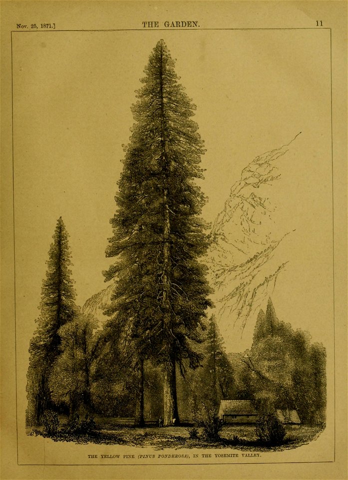n34_w1150