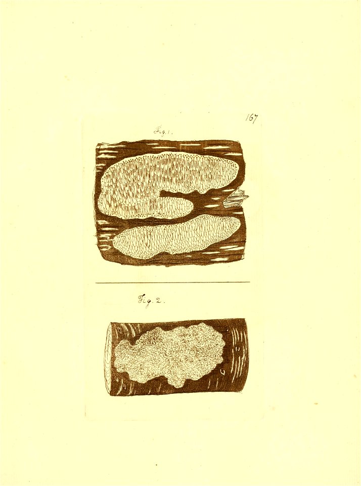 n282_w1150