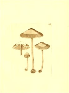 n252_w1150