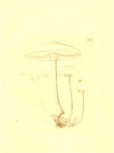 n152_w1150