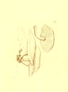 n150_w1150