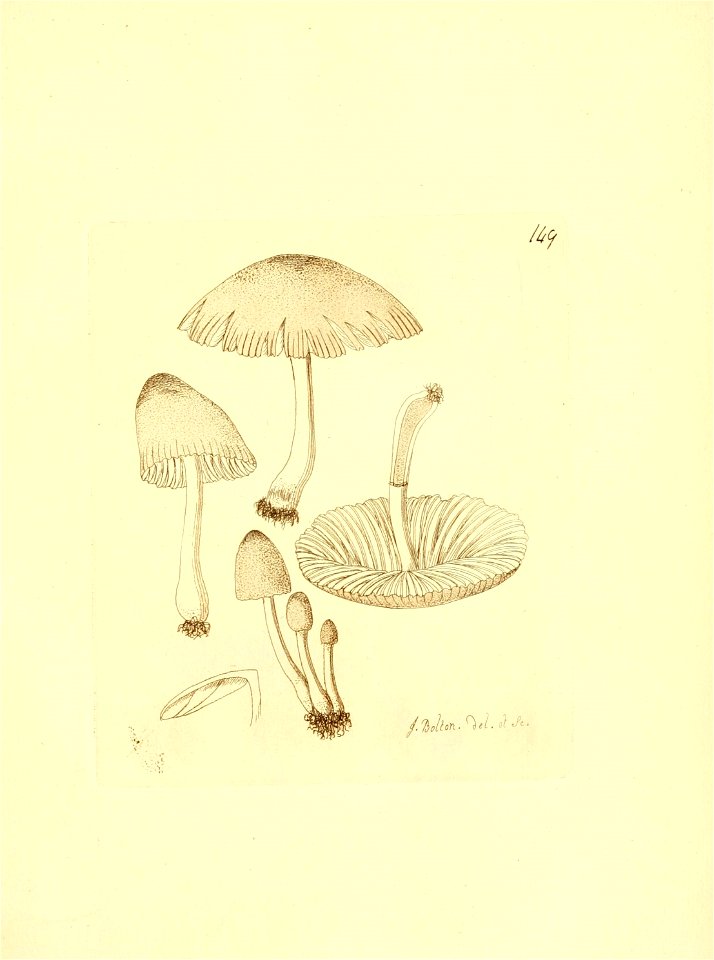 n246_w1150