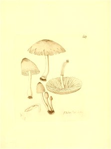 n246_w1150