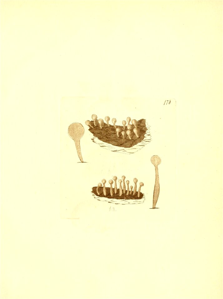 n304_w1150