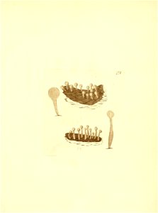 n304_w1150