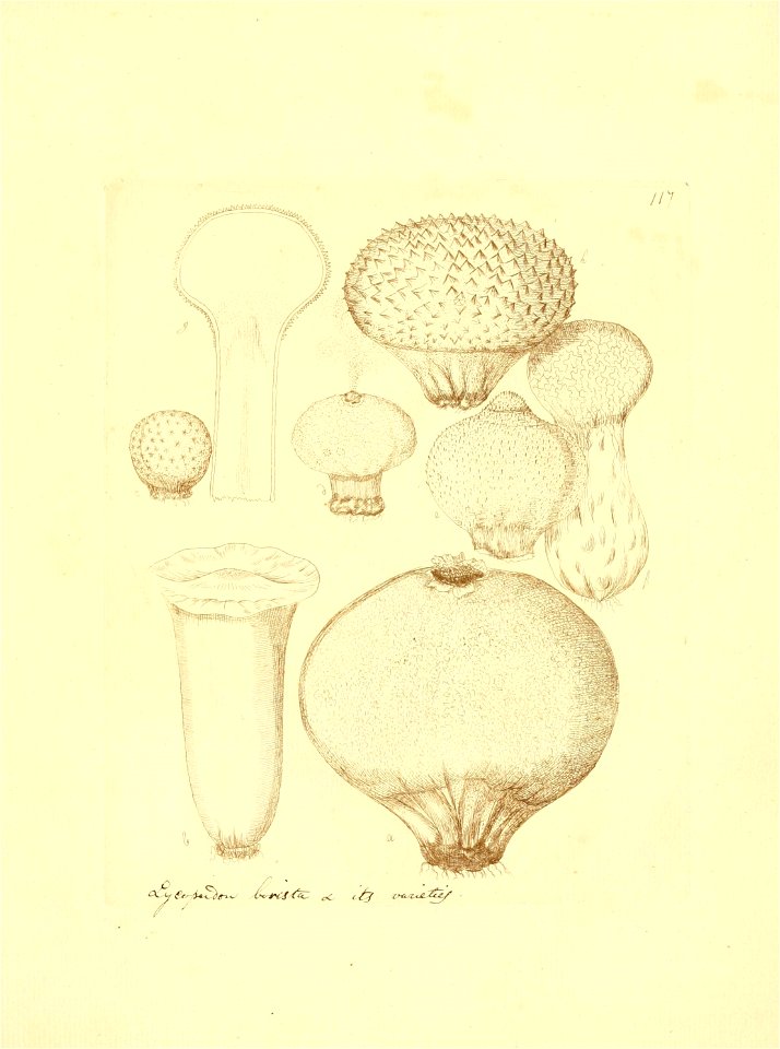 n114_w1150