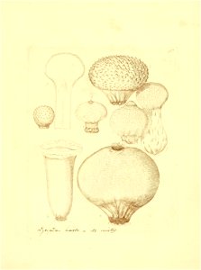 n114_w1150
