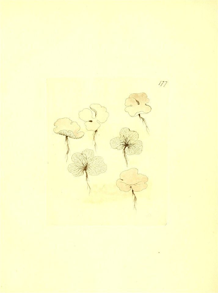 n302_w1150