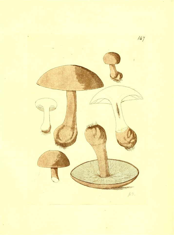 n242_w1150