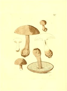 n242_w1150