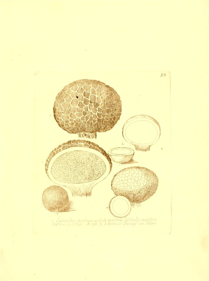 n112_w1150