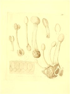 n140_w1150