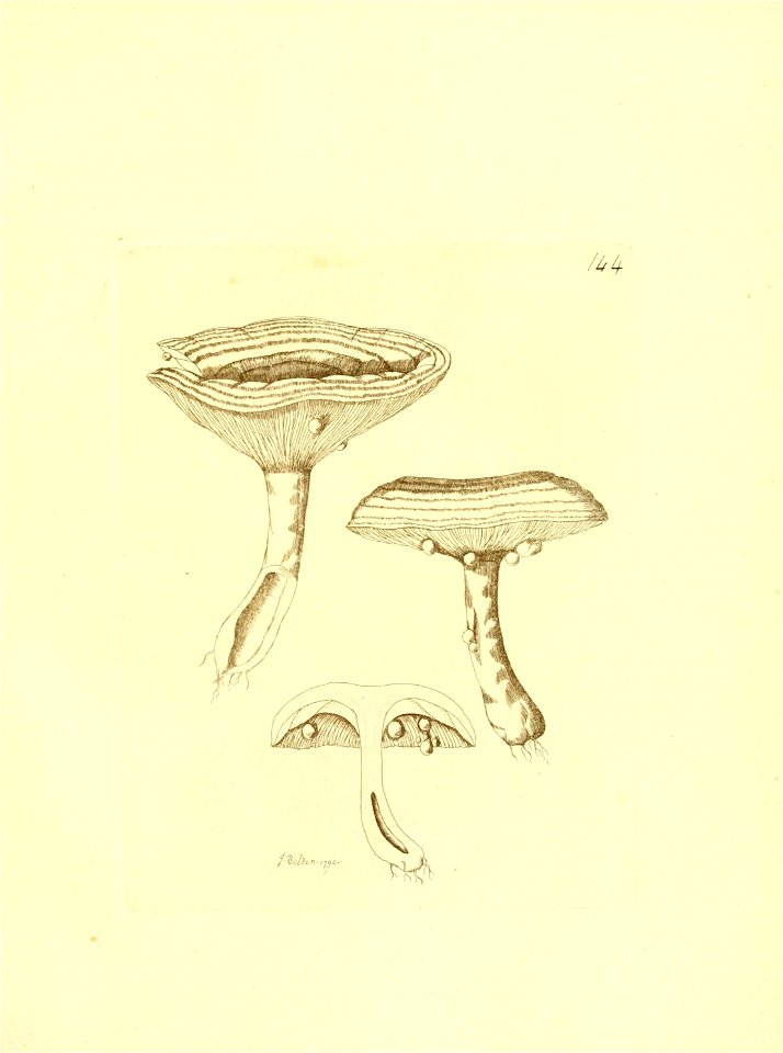 n236_w1150