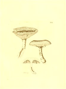 n236_w1150