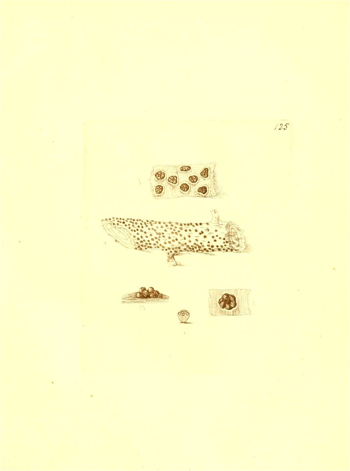 n138_w1150