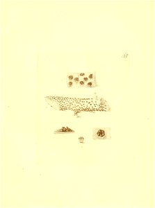n138_w1150