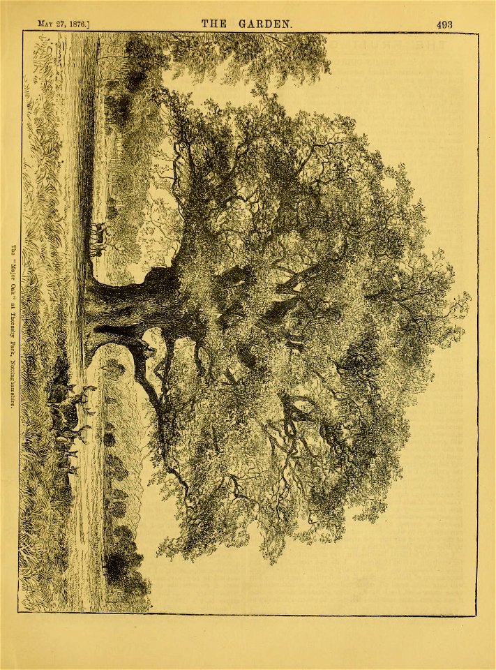 n526_w1150