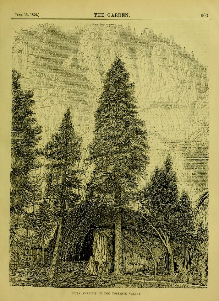 n698_w1150
