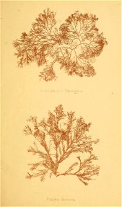 n148_w1150
