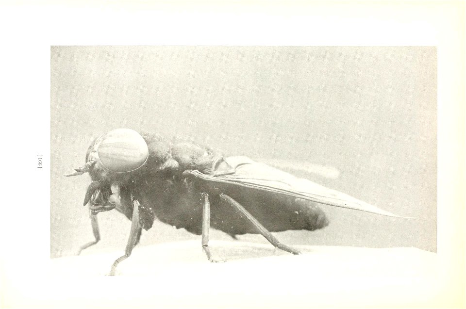 n169_w1150