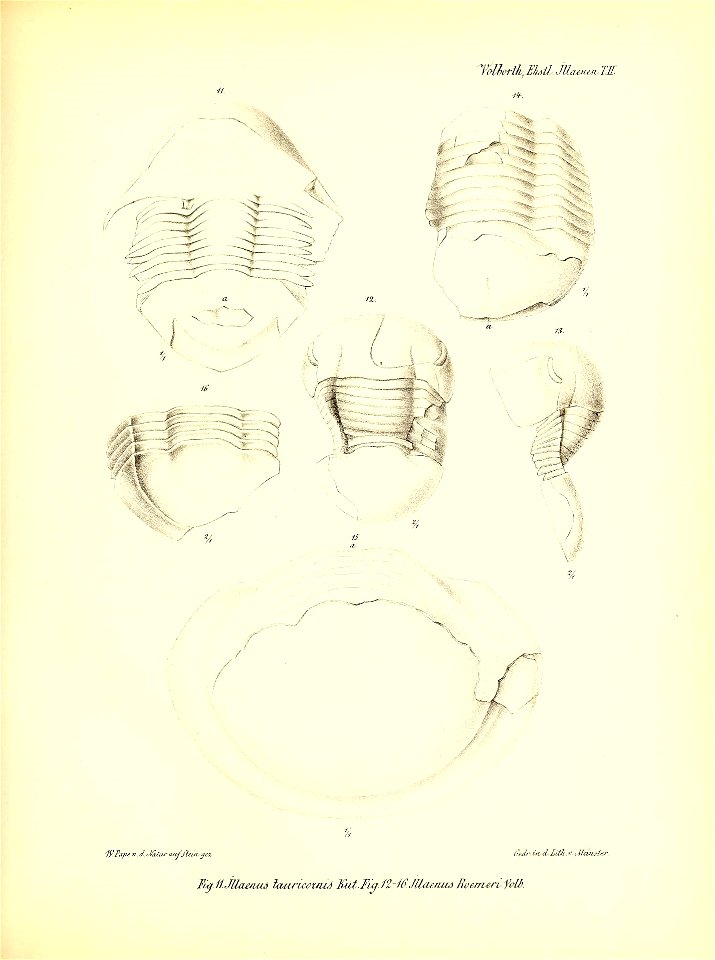 n372_w1150
