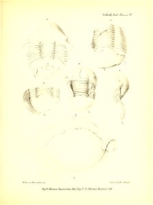 n372_w1150