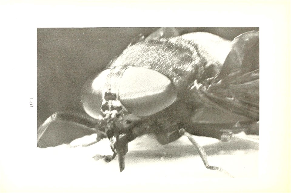 n167_w1150