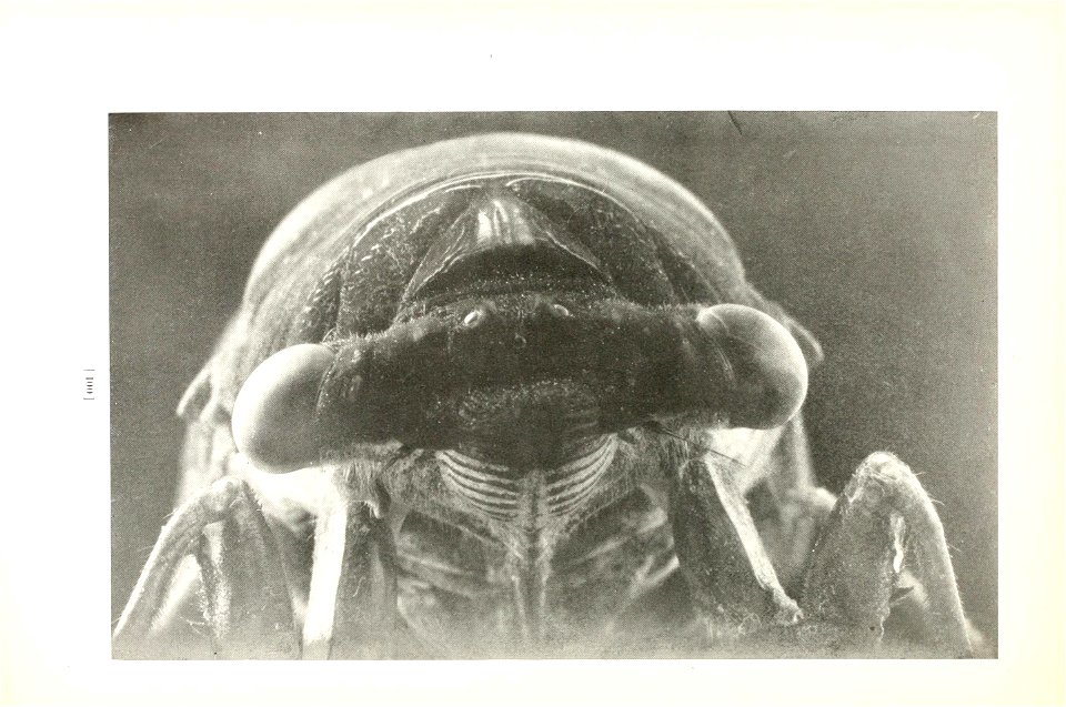 n103_w1150