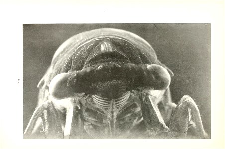 n103_w1150