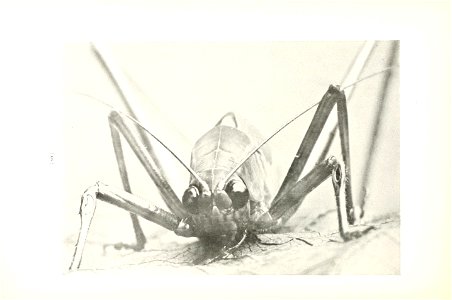 n71_w1150